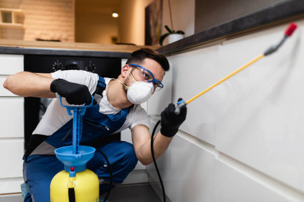 Professional Pest Control in Martinsville, VA