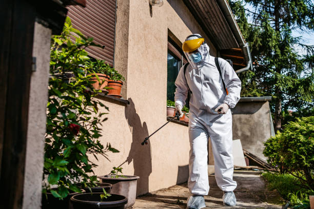 Trusted Martinsville, VA Pest Control Experts