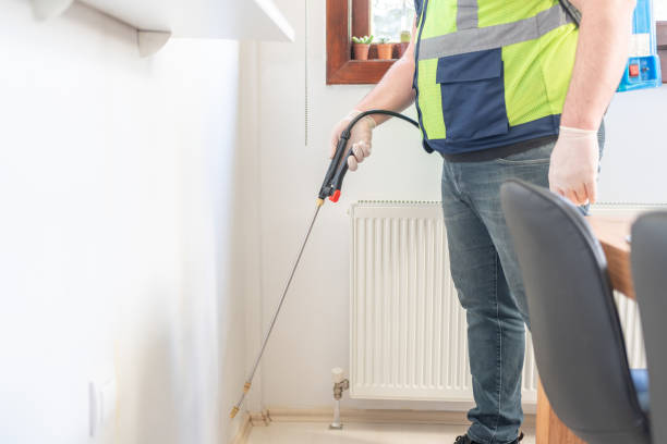 Best Local Pest Control Services  in Martinsville, VA