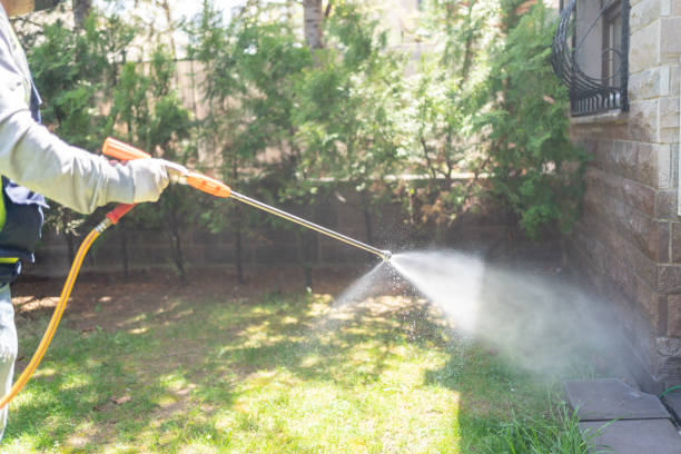 Best Affordable Pest Control Services  in Martinsville, VA
